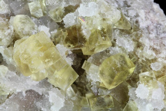 Lustrous Yellow Cubic Fluorite Crystal Cluster - Morocco #84240